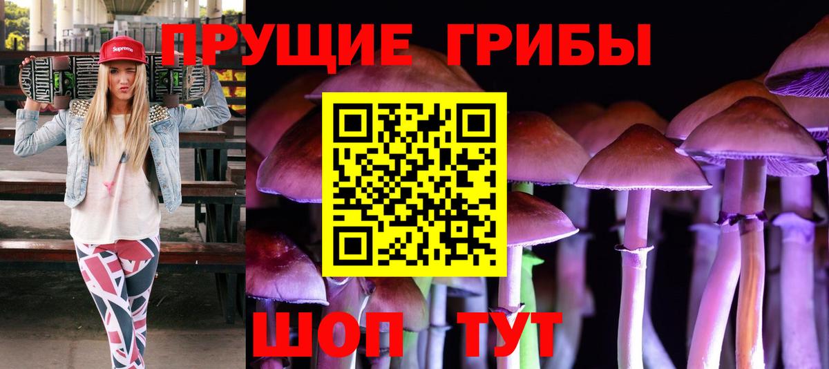 Сыктывкар  Галлюциногенные грибы GOLDEN TEACHER  Псилоцибиновые грибы GOLDEN TEACHER  купить наркотики цена  Вход с VPN 