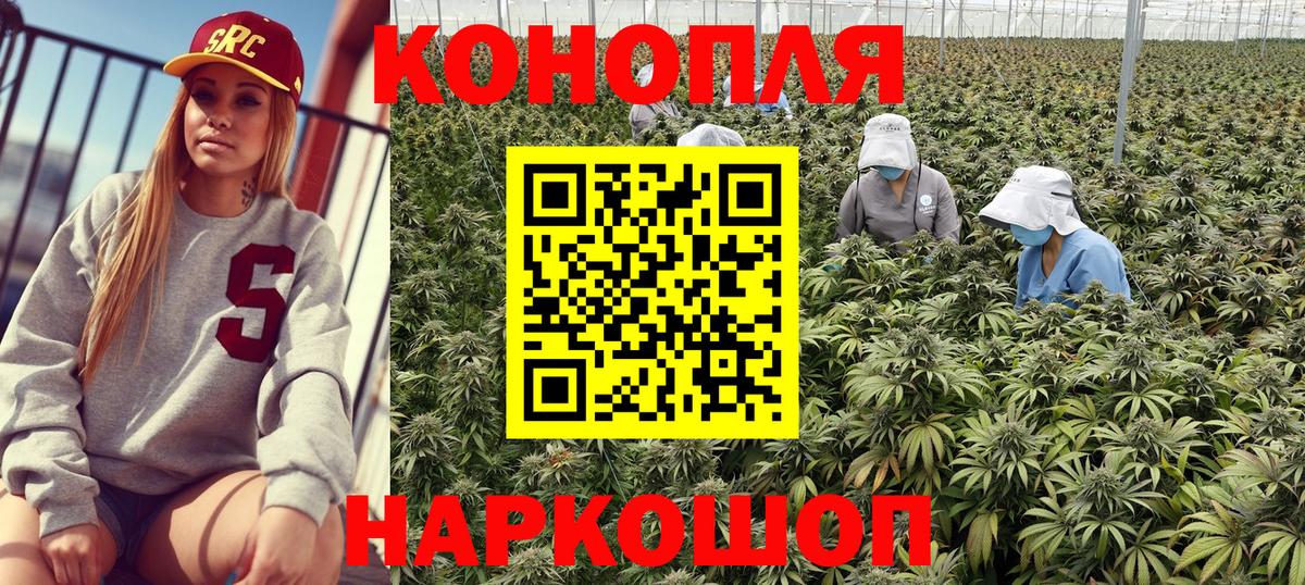Бошки марихуана планчик Сыктывкар